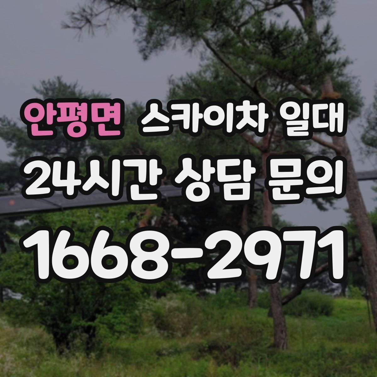 안평면 스카이차 일대