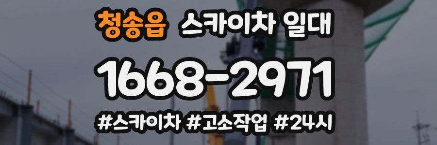 청송읍 스카이차 일대