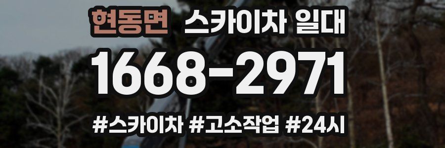현동면 스카이차 일대