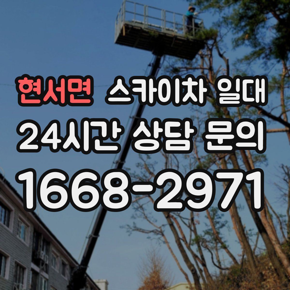 현서면 스카이차 일대