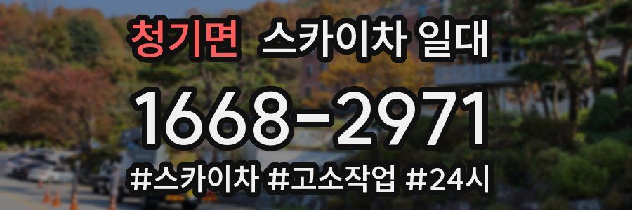 청기면 스카이차 일대