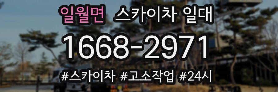 일월면 스카이차 일대