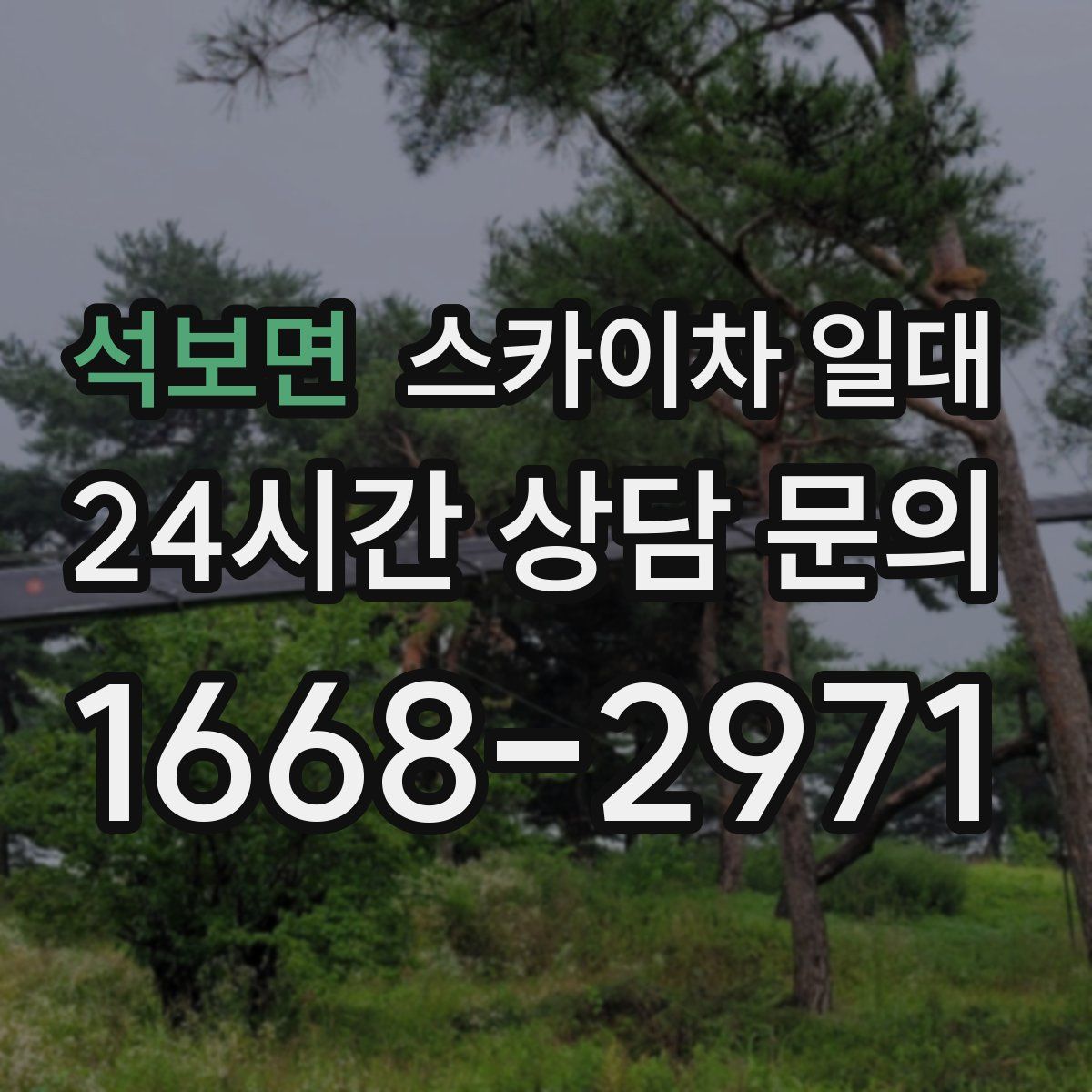 석보면 스카이차 일대
