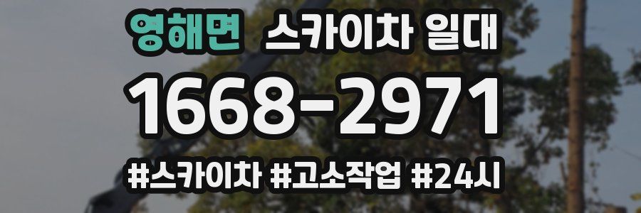 영해면 스카이차 일대