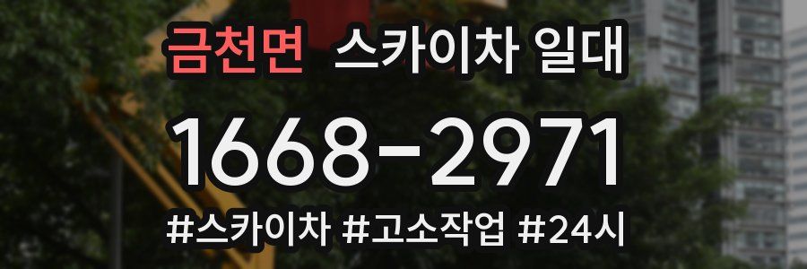 금천면 스카이차 일대