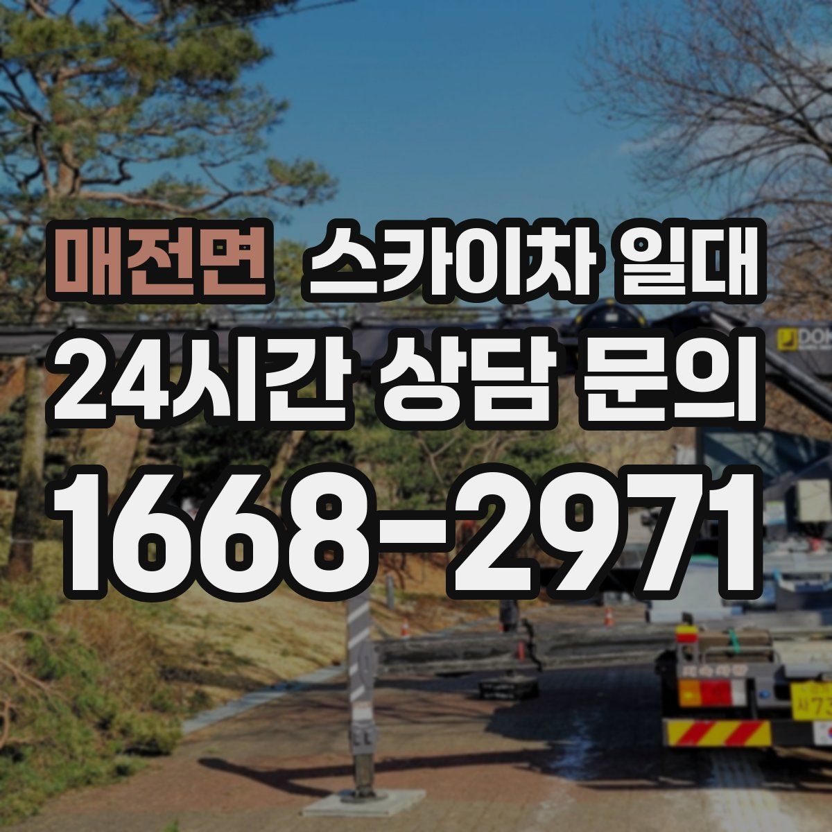 매전면 스카이차 일대