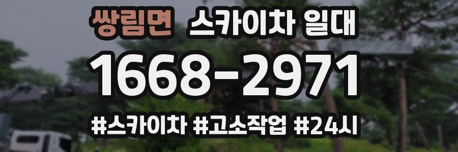 쌍림면 스카이차 일대