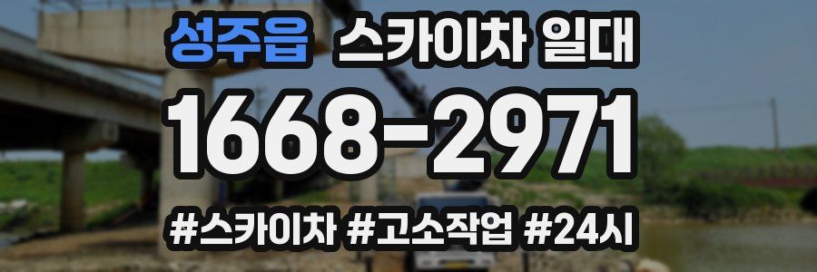 성주읍 스카이차 일대