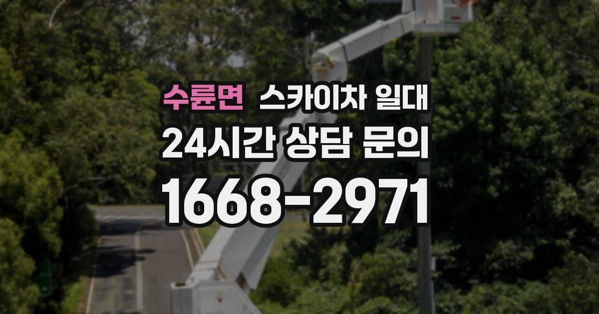 수륜면 스카이차 일대