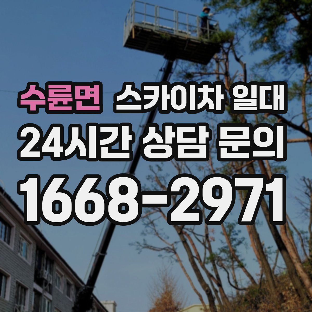 수륜면 스카이차 일대