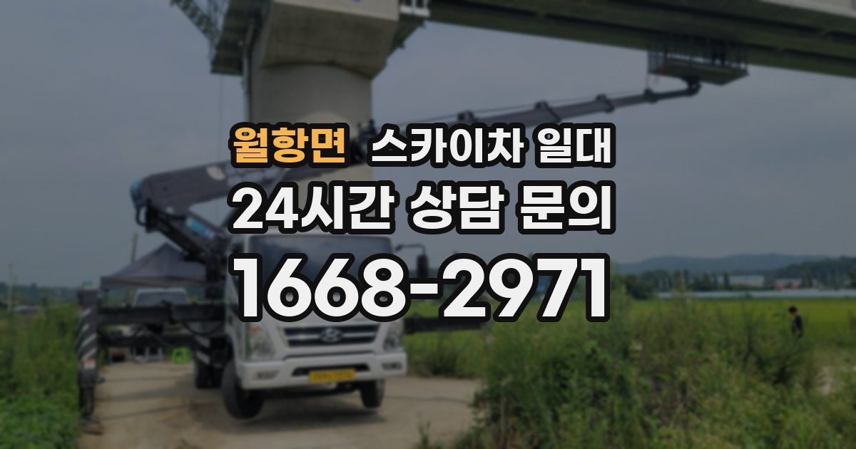 월항면 스카이차 일대