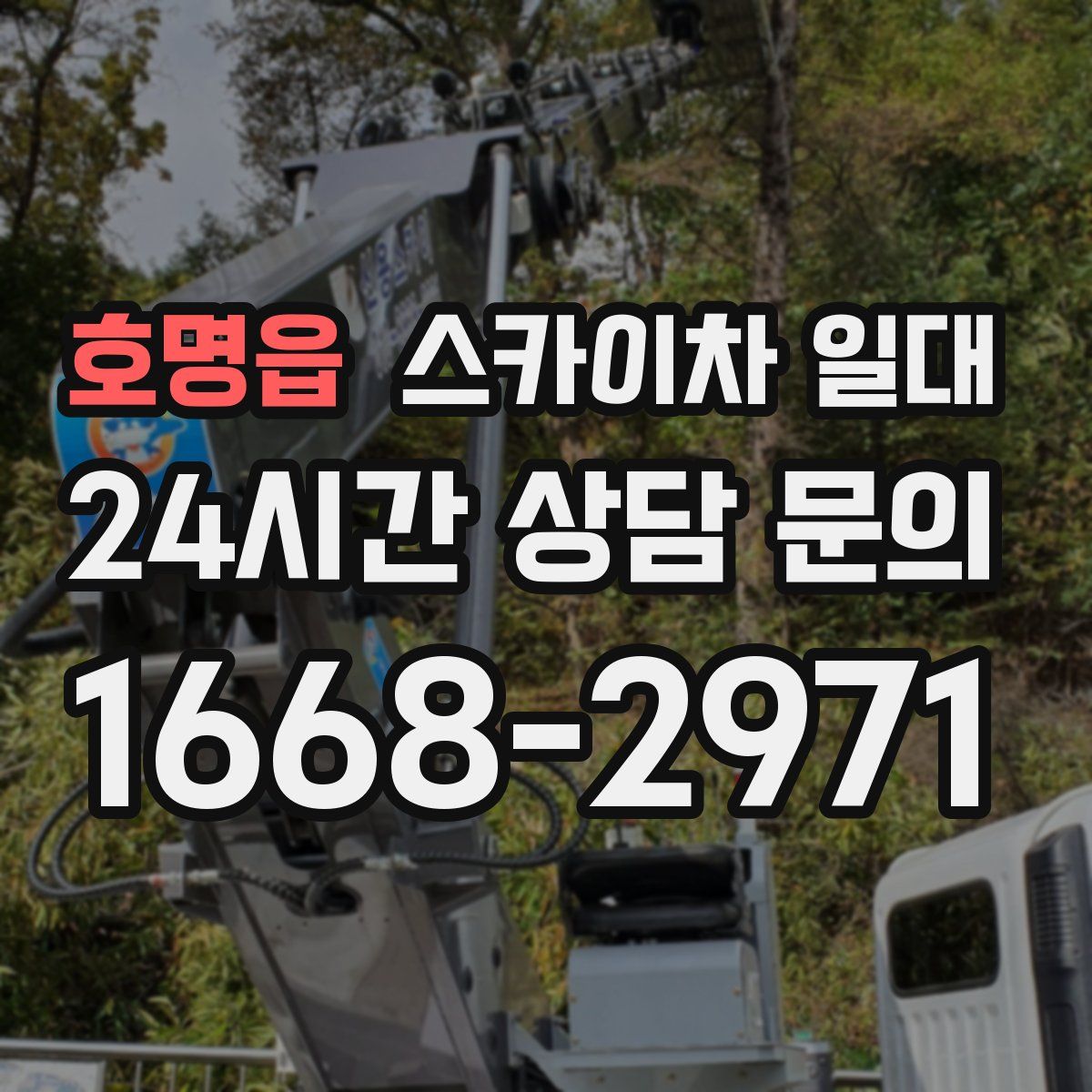 호명읍 스카이차 일대