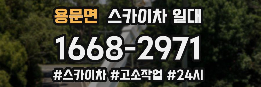 용문면 스카이차 일대