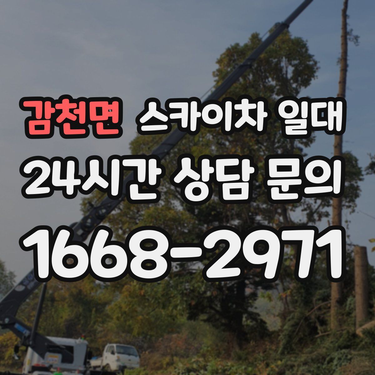 감천면 스카이차 일대
