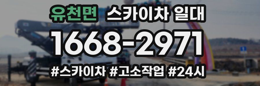 유천면 스카이차 일대