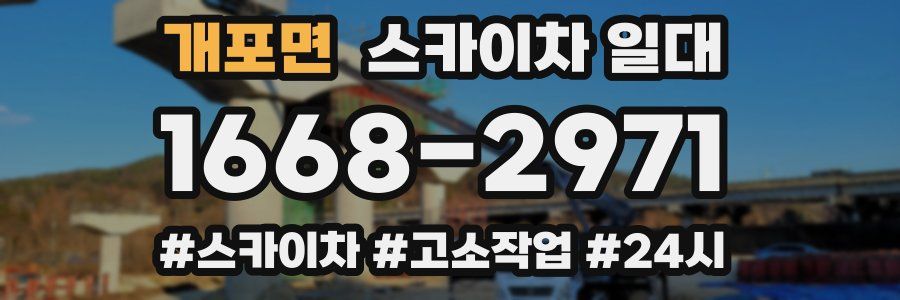 개포면 스카이차 일대