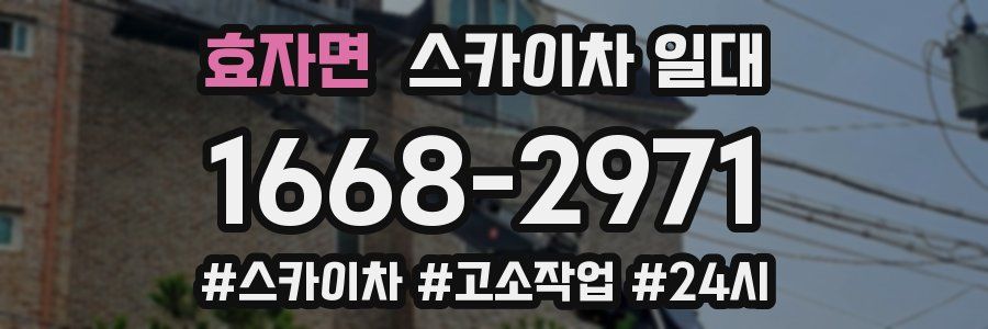 효자면 스카이차 일대