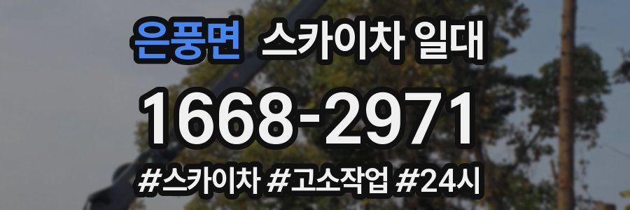 은풍면 스카이차 일대