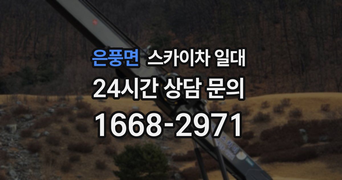 은풍면 스카이차 일대