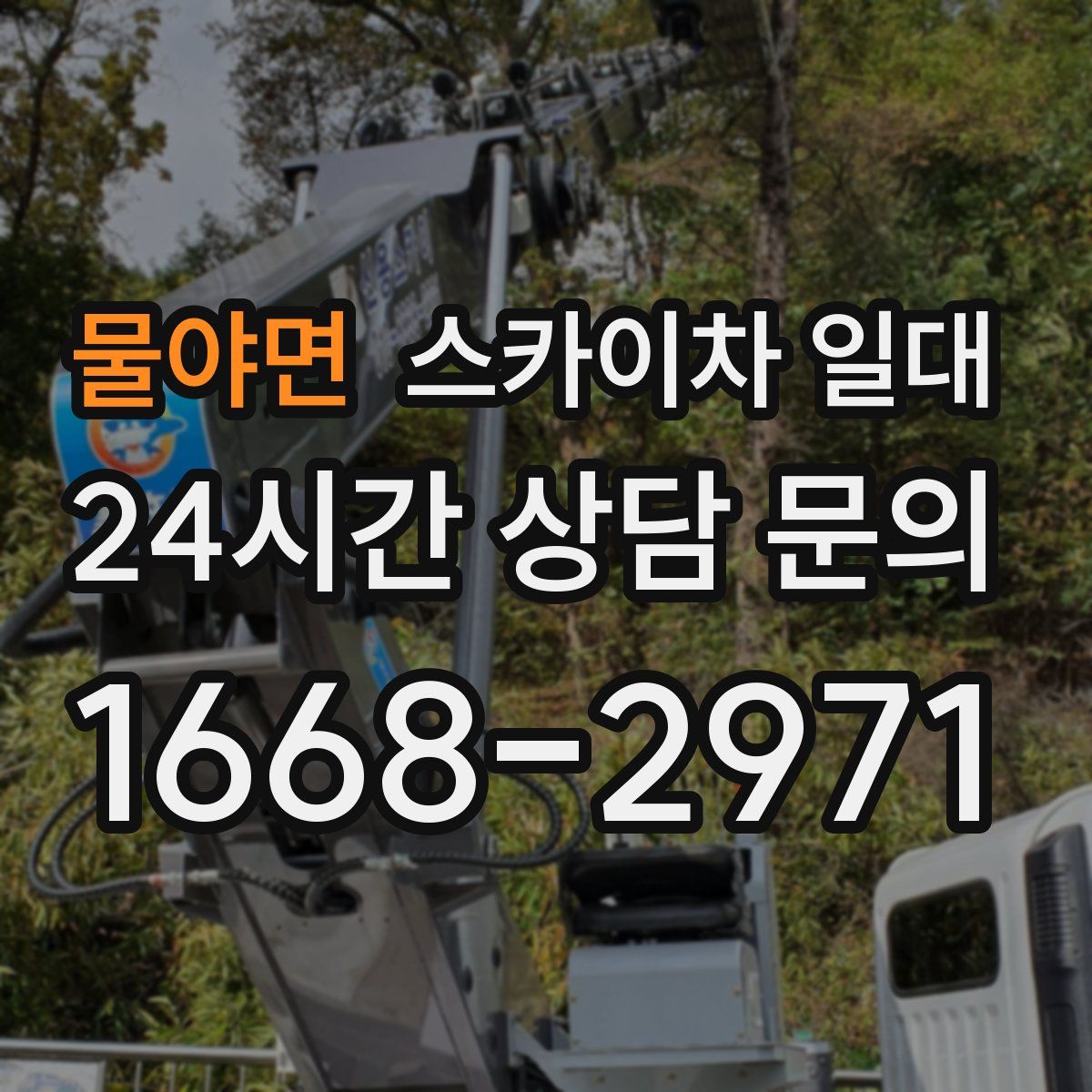 물야면 스카이차 일대