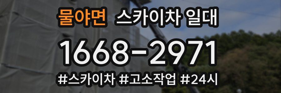 물야면 스카이차 일대