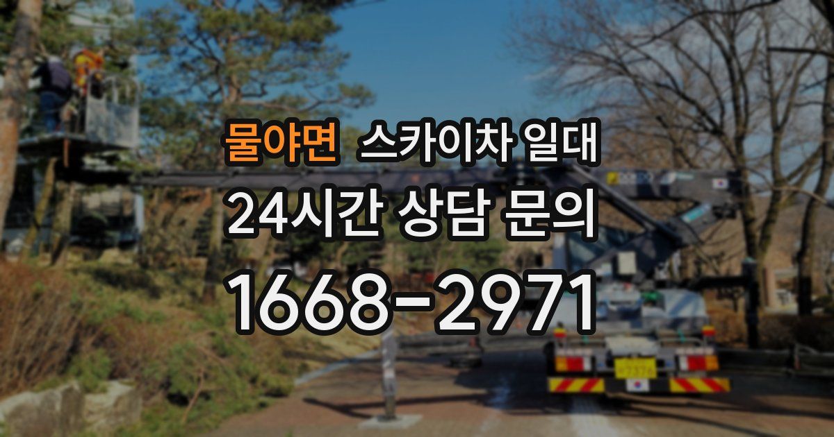 물야면 스카이차 일대