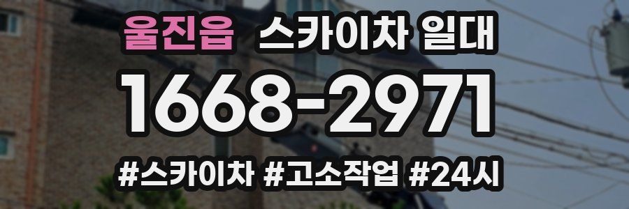 울진읍 스카이차 일대