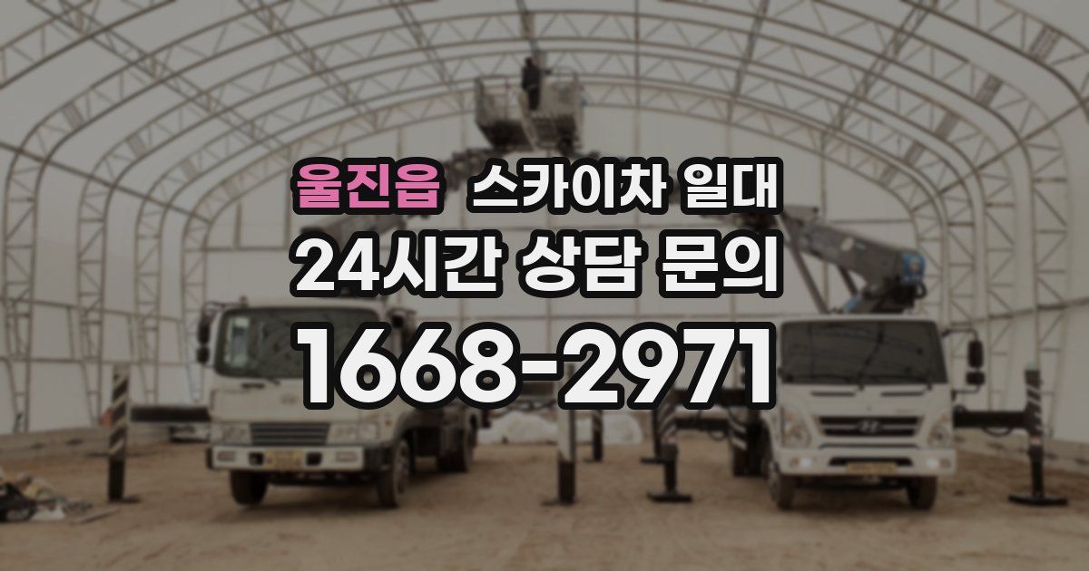 울진읍 스카이차 일대