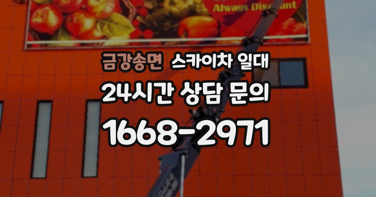 금강송면 스카이차 일대