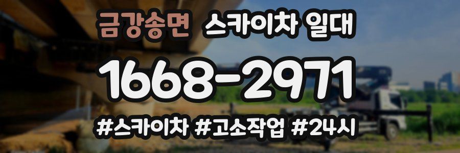 금강송면 스카이차 일대