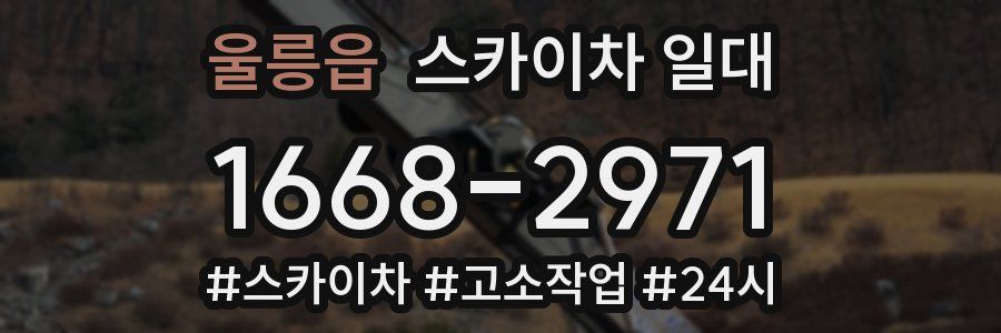 울릉읍 스카이차 일대