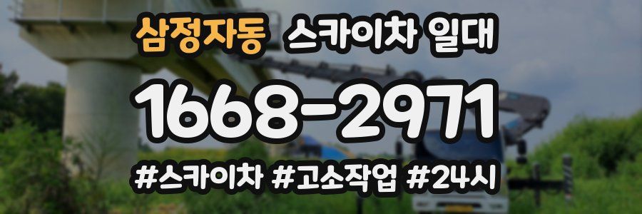 삼정자동 스카이차 일대