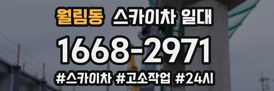 월림동 스카이차 일대