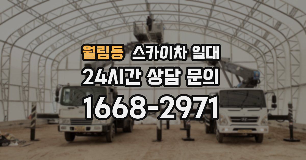 월림동 스카이차 일대