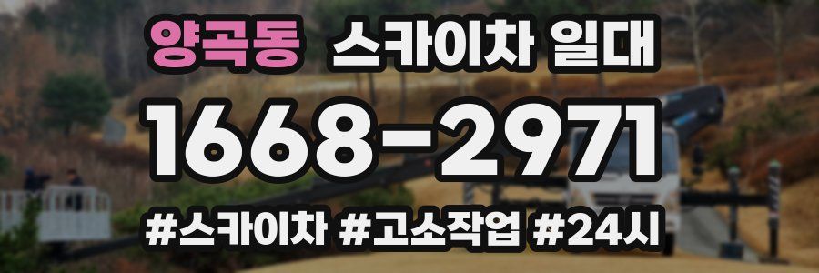 양곡동 스카이차 일대