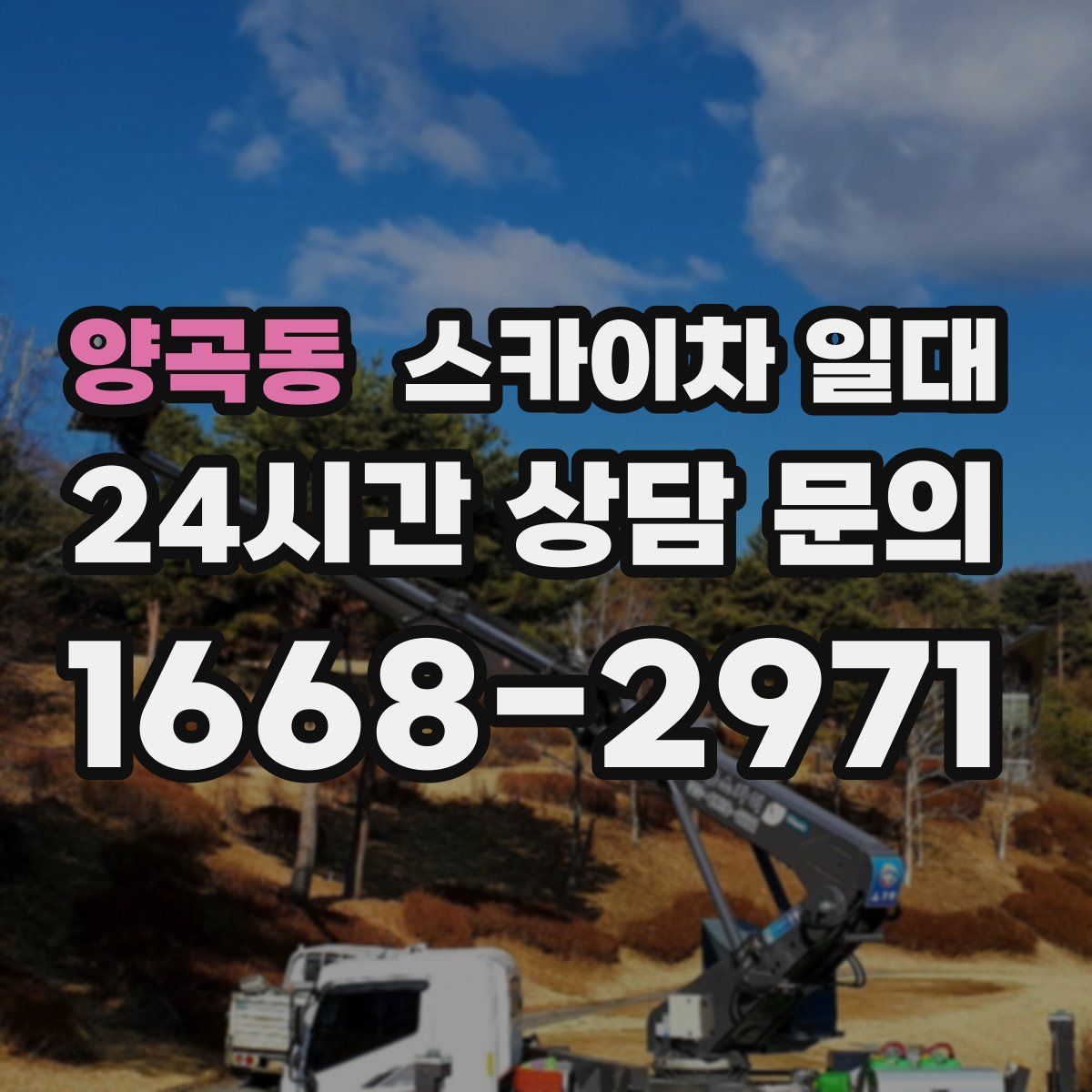 양곡동 스카이차 일대