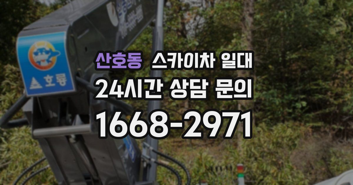 산호동 스카이차 일대