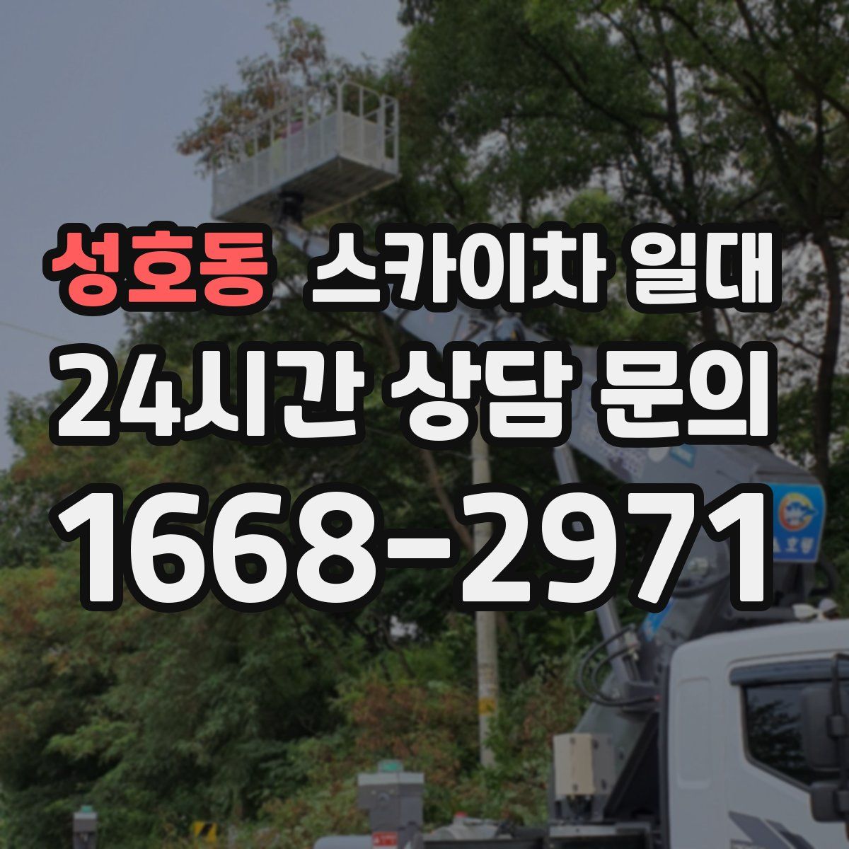 성호동 스카이차 일대