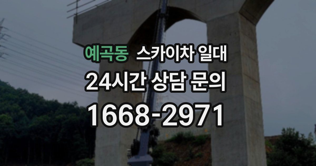 예곡동 스카이차 일대