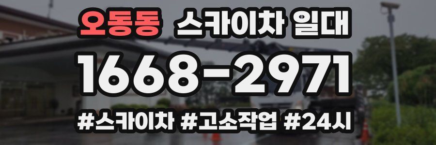 오동동 스카이차 일대