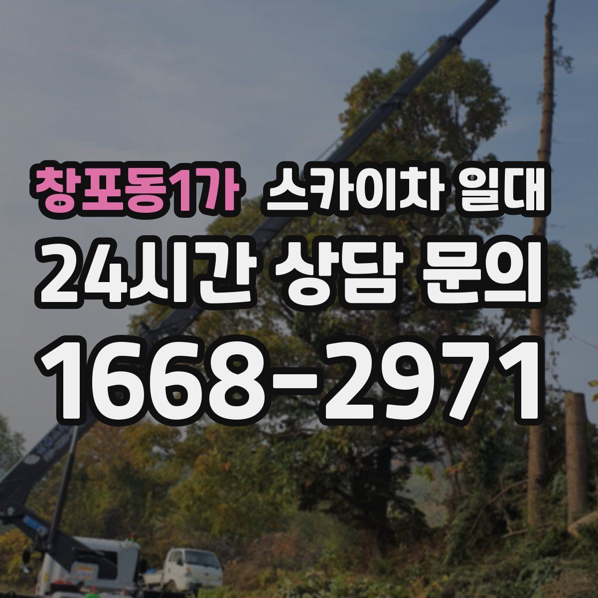창포동1가 스카이차 일대