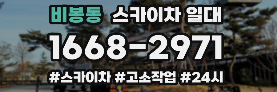 비봉동 스카이차 일대