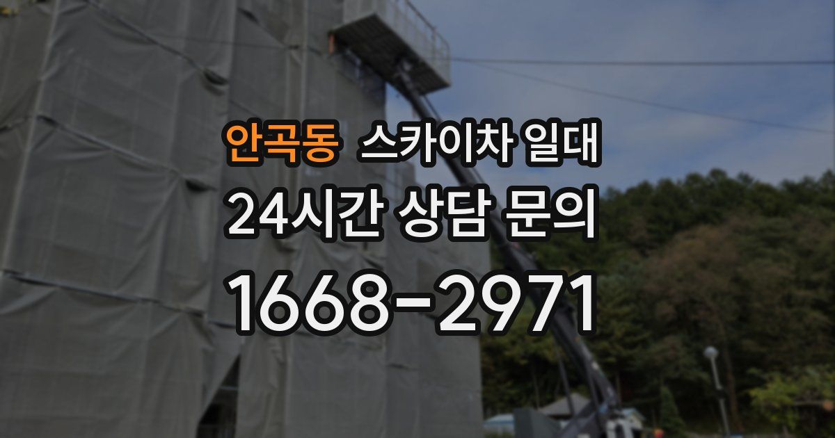 안곡동 스카이차 일대