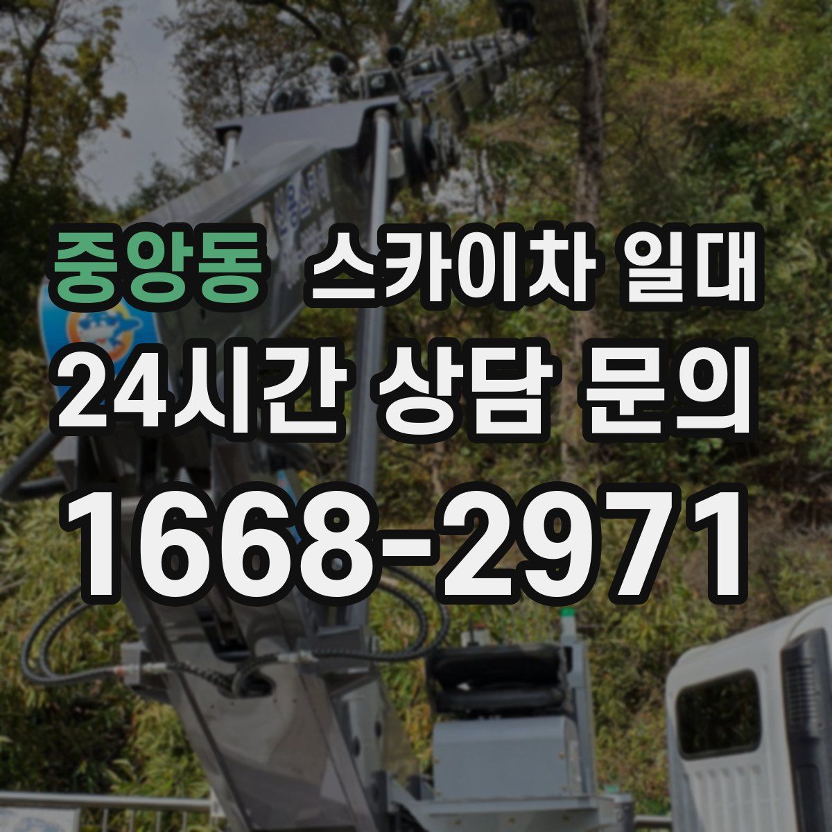 중앙동 스카이차 일대