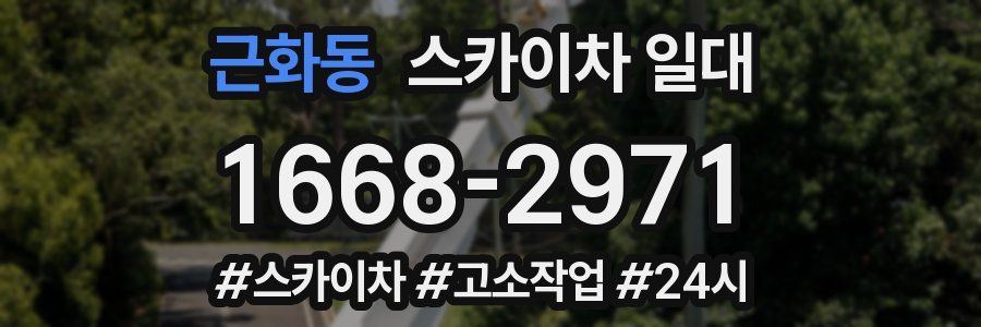 근화동 스카이차 일대