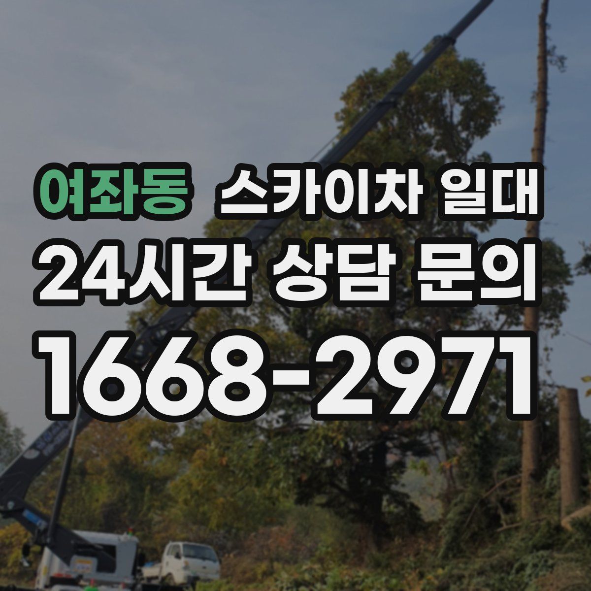 여좌동 스카이차 일대