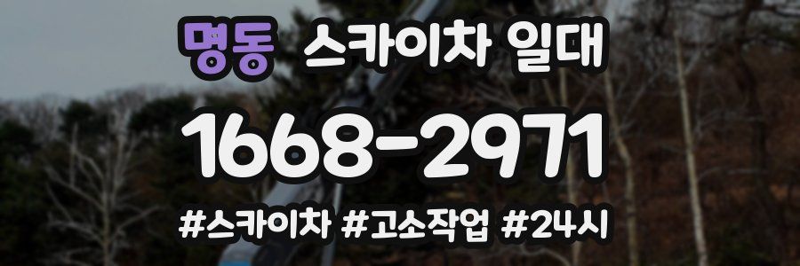 명동 스카이차 일대