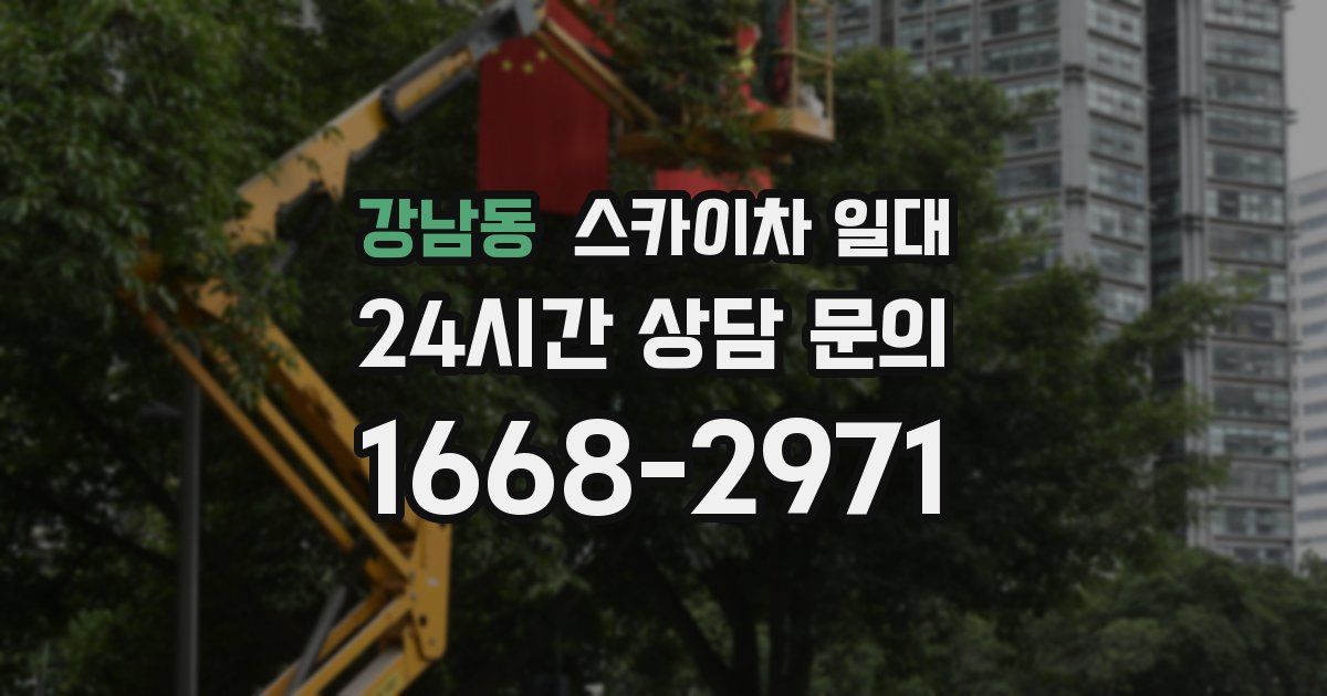 강남동 스카이차 일대