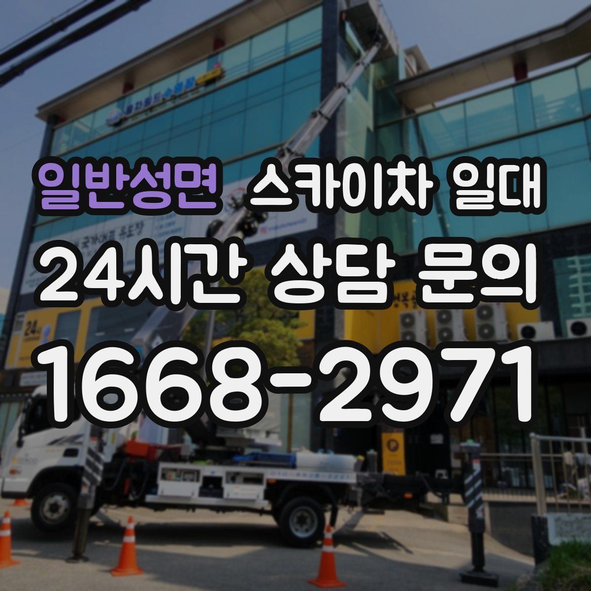 일반성면 스카이차 일대