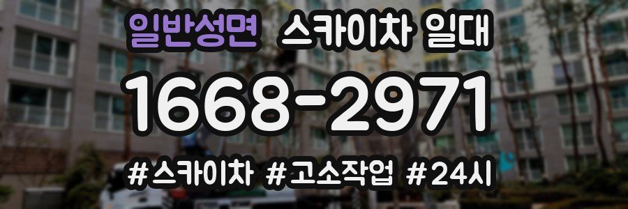 일반성면 스카이차 일대